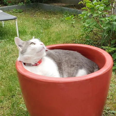 Πανσιόν Chez Sylvie Et Stephane