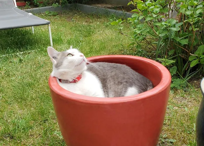 Maison d'hôtes Chez Sylvie Et Stéphane